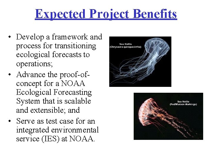 Expected Project Benefits • Develop a framework and process for transitioning ecological forecasts to