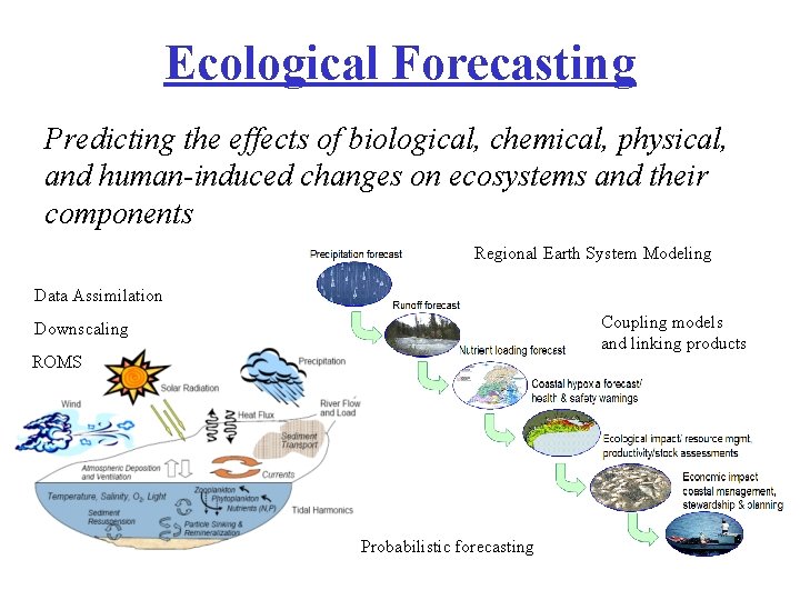 Ecological Forecasting Predicting the effects of biological, chemical, physical, and human-induced changes on ecosystems