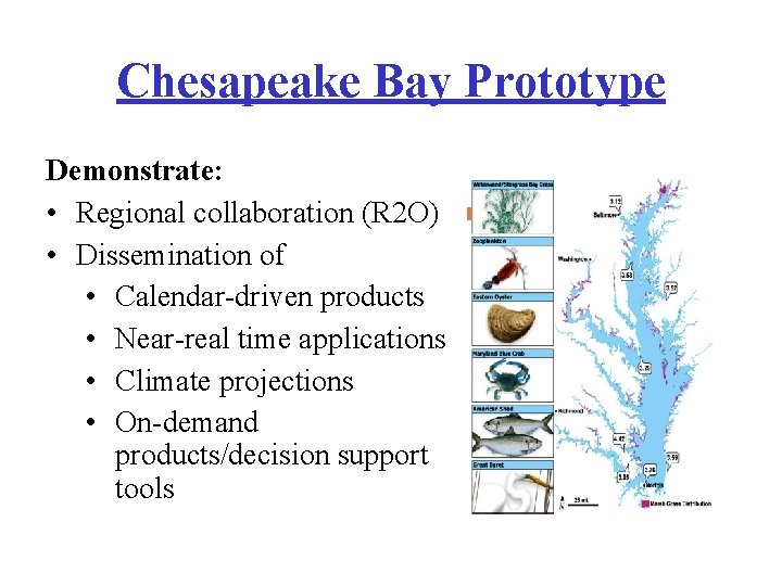 Chesapeake Bay Prototype Demonstrate: • Regional collaboration (R 2 O) • Dissemination of •