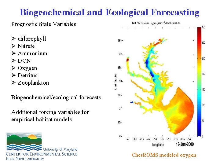 Biogeochemical and Ecological Forecasting Prognostic State Variables: Ø chlorophyll Ø Nitrate Ø Ammonium Ø