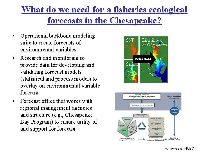 What do we need for a fisheries ecological forecasts in the Chesapeake? • Operational