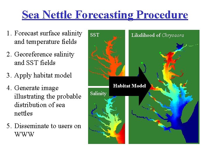 Sea Nettle Forecasting Procedure 1. Forecast surface salinity and temperature fields SST Likelihood of