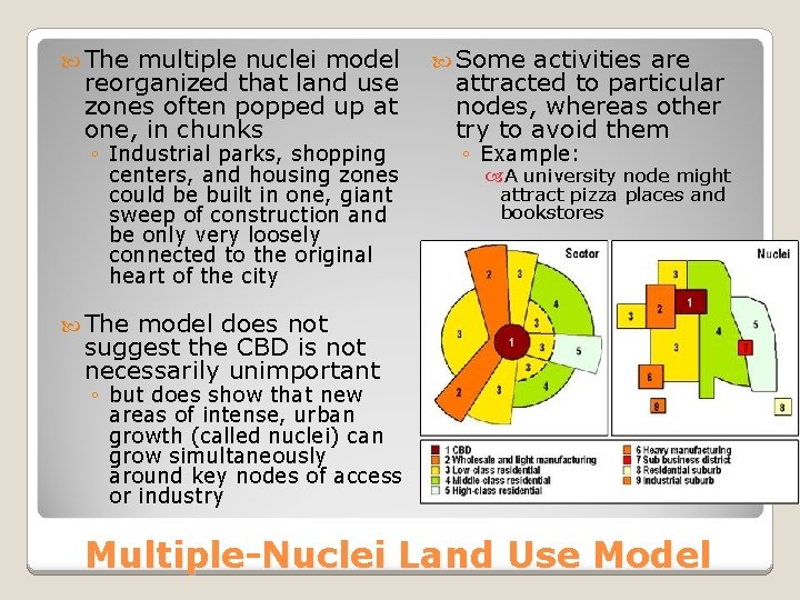  The multiple nuclei model reorganized that land use zones often popped up at