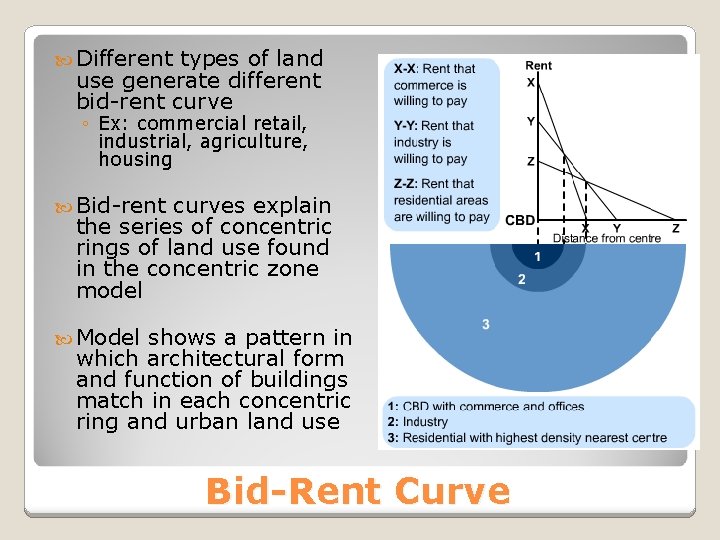  Different types of land use generate different bid-rent curve ◦ Ex: commercial retail,