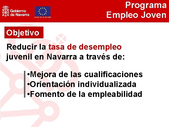 Programa Empleo Joven Objetivo Reducir la tasa de desempleo juvenil en Navarra a través