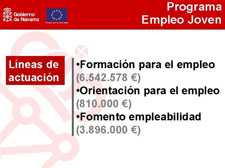 Programa Empleo Joven Líneas de actuación • Formación para el empleo (6. 542. 578