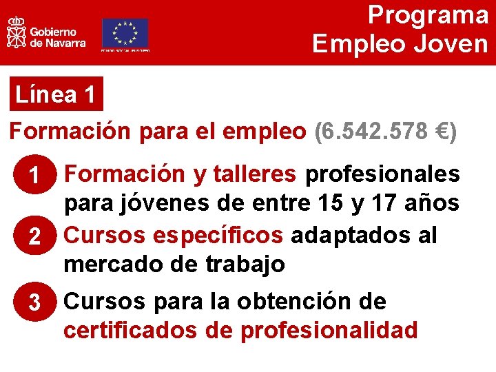 Programa Empleo Joven Línea 1 Formación para el empleo (6. 542. 578 €) 1