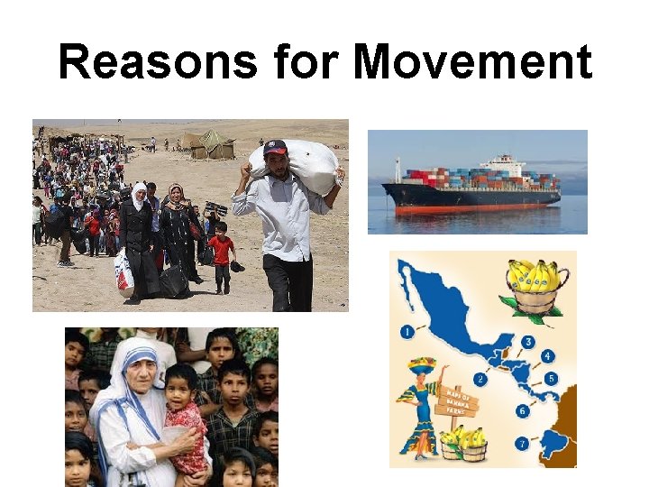 Reasons for Movement 