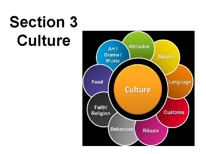 Section 3 Culture 