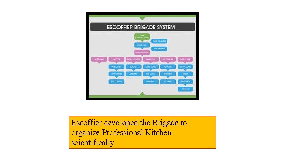 Escoffier developed the Brigade to organize Professional Kitchen scientifically 