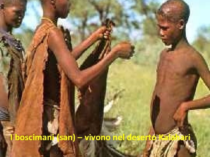 I boscimani (san) – vivono nel deserto Kalahari 
