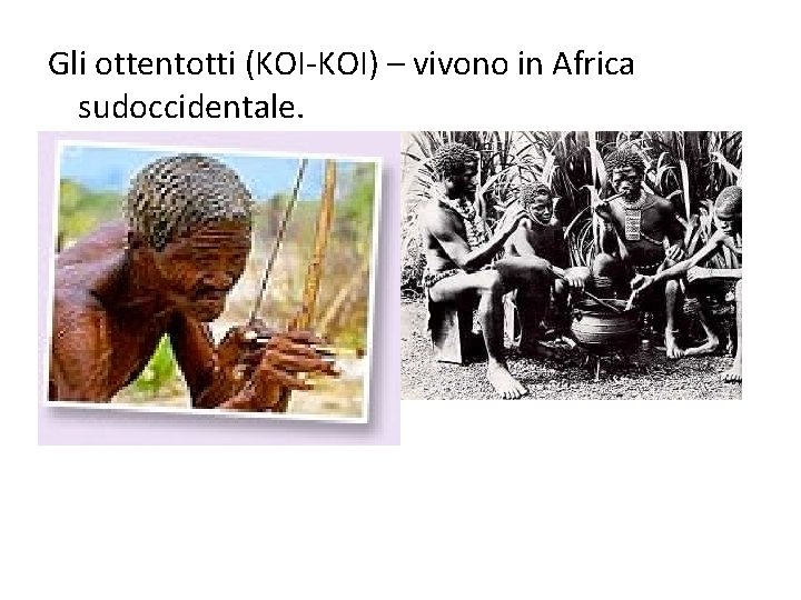 Gli ottentotti (KOI-KOI) – vivono in Africa sudoccidentale. 