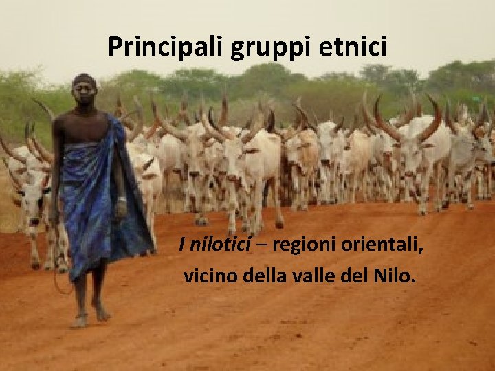 Principali gruppi etnici I nilotici – regioni orientali, vicino della valle del Nilo. 