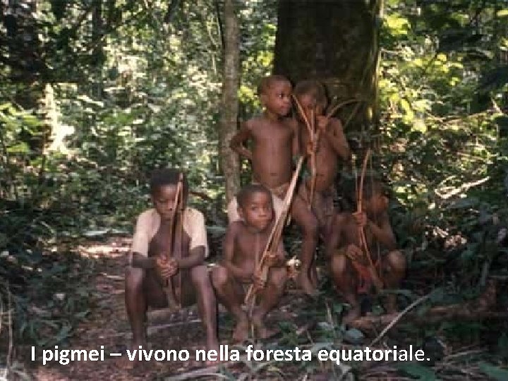 I pigmei – vivono nella foresta equatoriale. . 