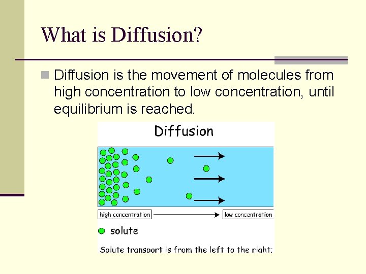 What is Diffusion? n Diffusion is the movement of molecules from high concentration to What is Diffusion? n Diffusion is the movement of molecules from high concentration to