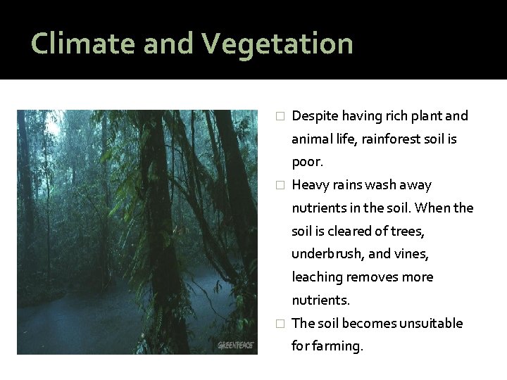 Climate and Vegetation � Despite having rich plant and animal life, rainforest soil is