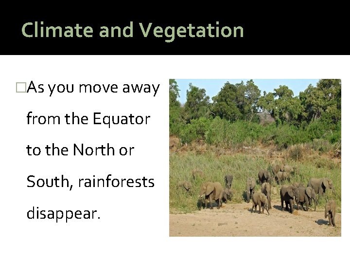 Climate and Vegetation �As you move away from the Equator to the North or