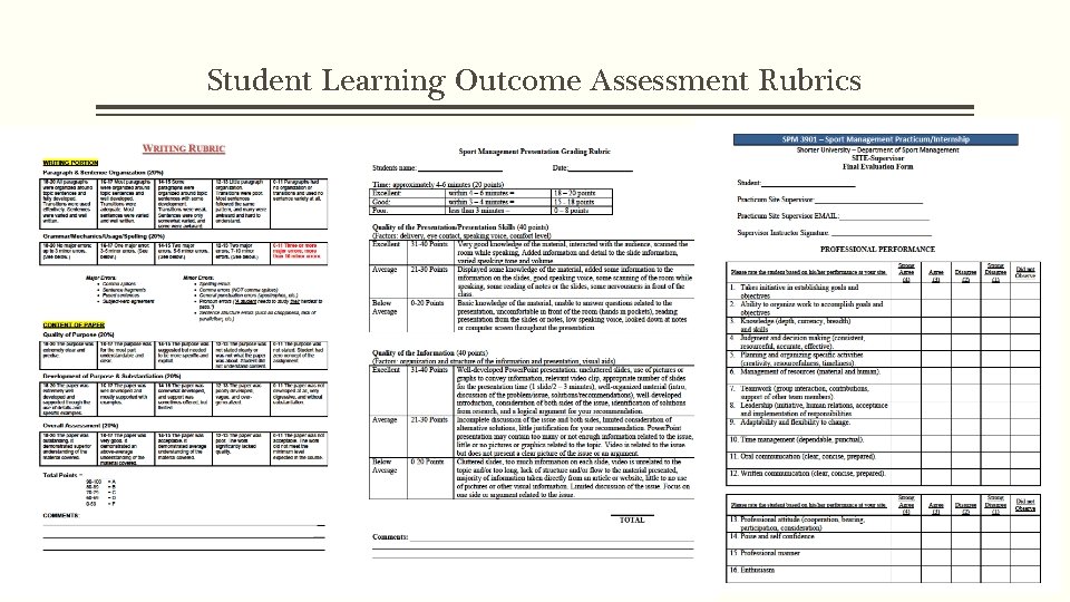 Student Learning Outcome Assessment Rubrics 