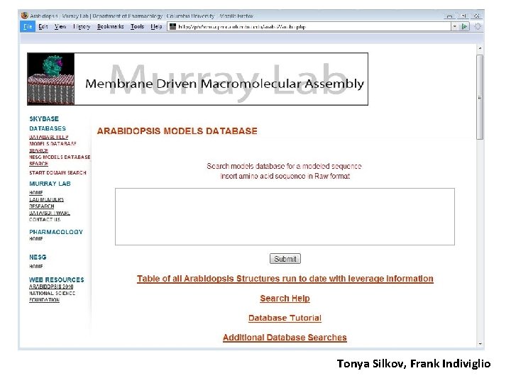 Tonya Silkov, Frank Indiviglio 