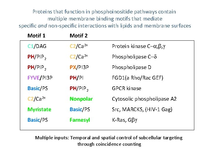Proteins that function in phosphoinositide pathways contain multiple membrane binding motifs that mediate specific