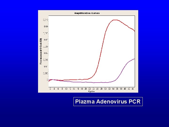 Plazma Adenovirus PCR 