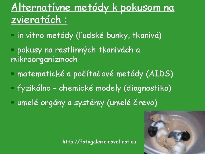 Alternatívne metódy k pokusom na zvieratách : § in vitro metódy (ľudské bunky, tkanivá)