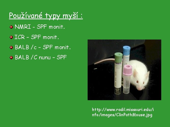 Používané typy myší : NMRI - SPF monit. ICR – SPF monit. BALB /c