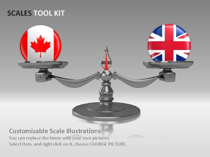 SCALES TOOL KIT Customizable Scale Illustrations You can replace the items with your own