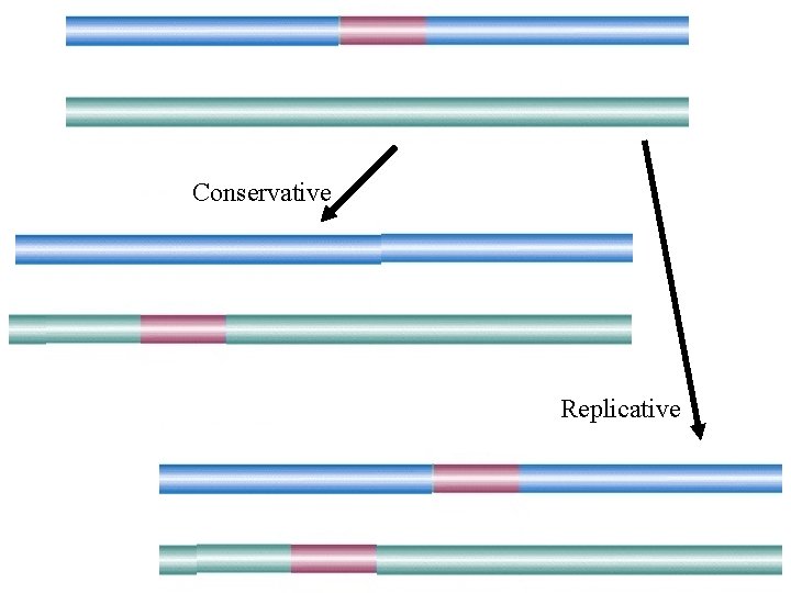 Conservative Replicative 