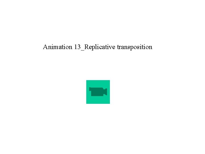 Animation 13_Replicative transposition 