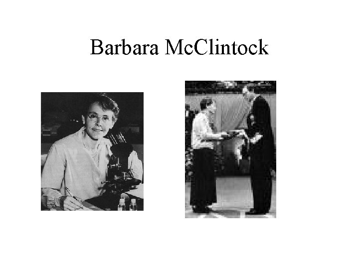 Barbara Mc. Clintock 