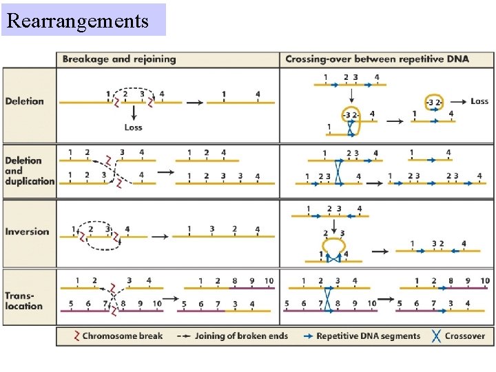 Rearrangements 