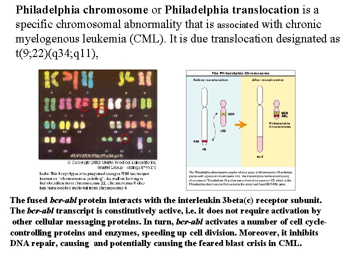 Philadelphia chromosome or Philadelphia translocation is a specific chromosomal abnormality that is associated with