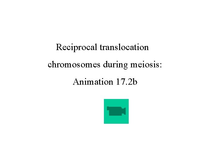 Reciprocal translocation chromosomes during meiosis: Animation 17. 2 b 