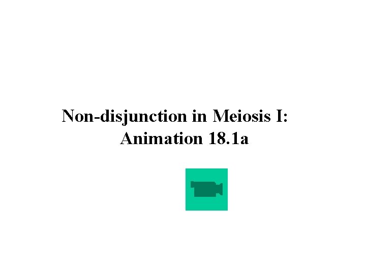 Non-disjunction in Meiosis I: Animation 18. 1 a 