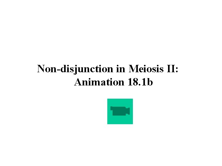 Non-disjunction in Meiosis II: Animation 18. 1 b 