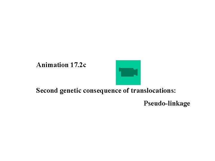 Animation 17. 2 c Second genetic consequence of translocations: Pseudo-linkage 