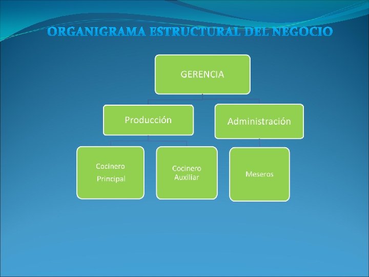 ORGANIGRAMA ESTRUCTURAL DEL NEGOCIO ORGANIGRAMA ESTRUCTURAL DEL NEGOCIO