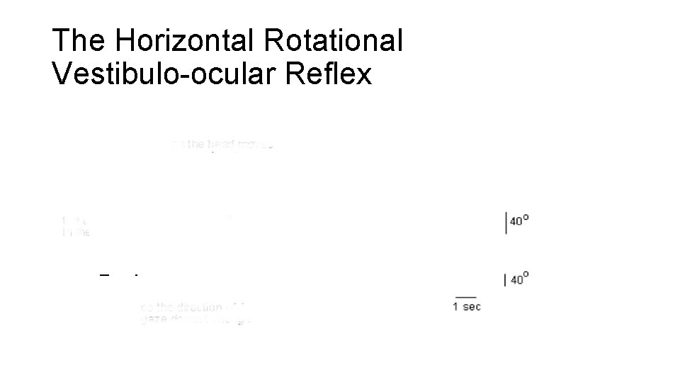 The Horizontal Rotational Vestibulo-ocular Reflex Head in space Eye in head Eye in space