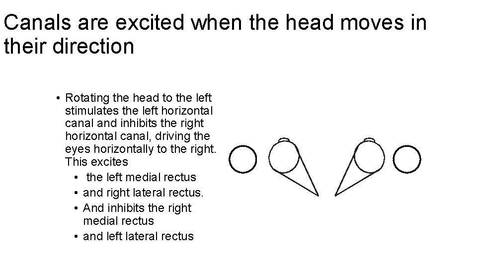 Canals are excited when the head moves in their direction • Rotating the head