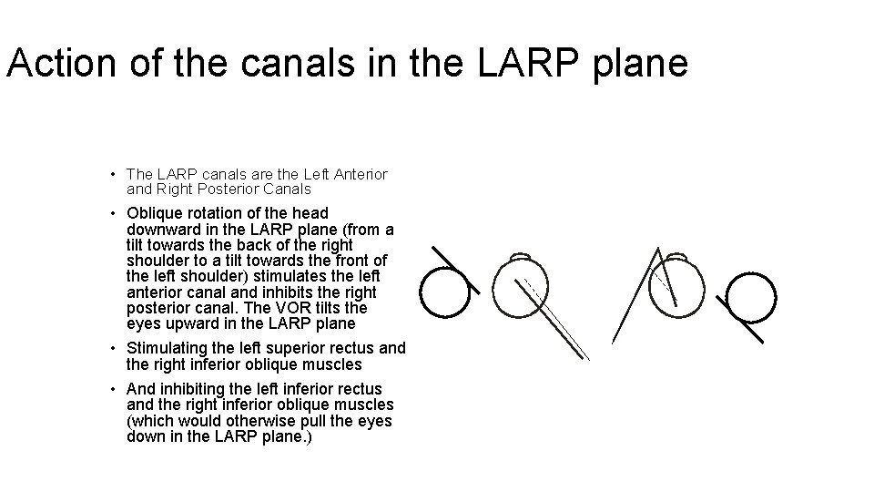 Action of the canals in the LARP plane • The LARP canals are the
