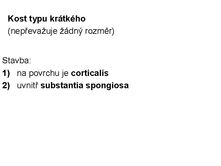 Kost typu krátkého (nepřevažuje žádný rozměr) Stavba: 1) na povrchu je corticalis 2) uvnitř