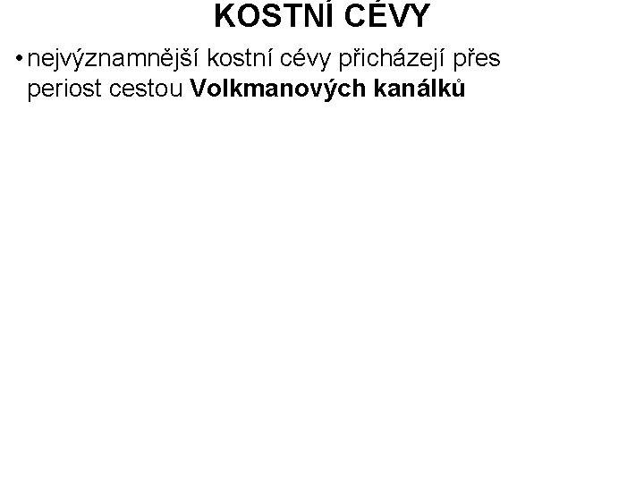 KOSTNÍ CÉVY • nejvýznamnější kostní cévy přicházejí přes periost cestou Volkmanových kanálků 