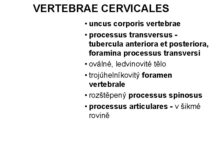 VERTEBRAE CERVICALES • uncus corporis vertebrae • processus transversus tubercula anteriora et posteriora, foramina