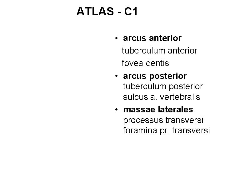 ATLAS - C 1 • arcus anterior tuberculum anterior fovea dentis • arcus posterior