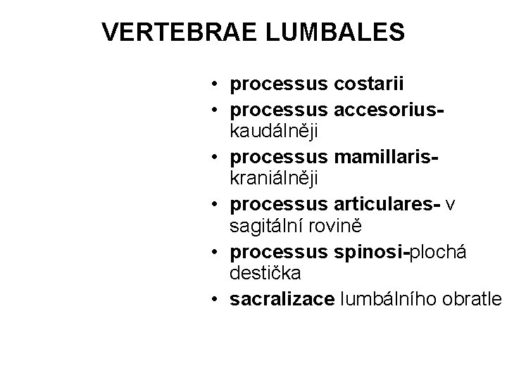 VERTEBRAE LUMBALES • processus costarii • processus accesoriuskaudálněji • processus mamillariskraniálněji • processus articulares-