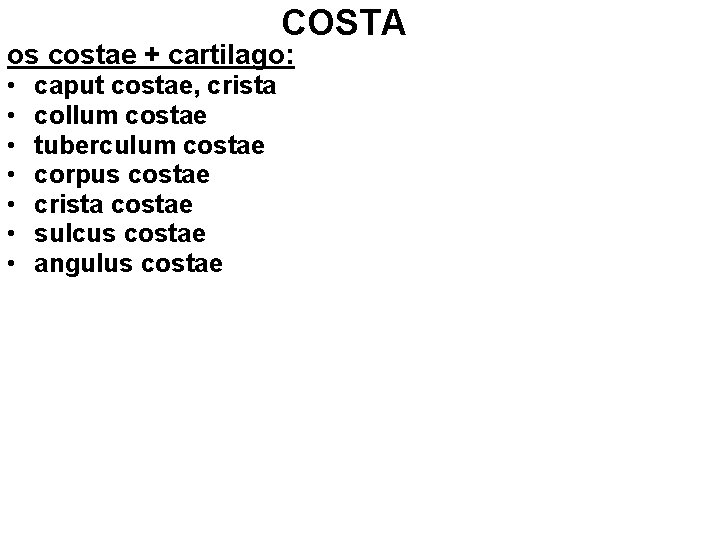 COSTA os costae + cartilago: • • caput costae, crista collum costae tuberculum costae