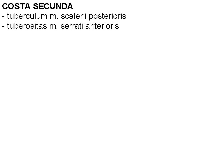 COSTA SECUNDA - tuberculum m. scaleni posterioris - tuberositas m. serrati anterioris 