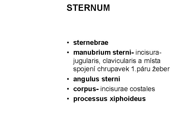 STERNUM • sternebrae • manubrium sterni- incisurajugularis, clavicularis a místa spojení chrupavek 1. páru