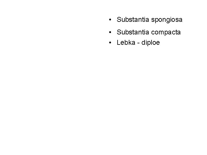  • Substantia spongiosa • Substantia compacta • Lebka - diploe 